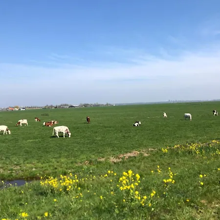 Ride The Amstel