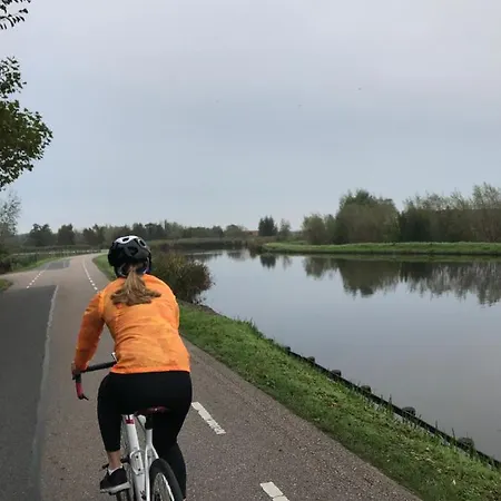 Ride The Amstel Panzió *