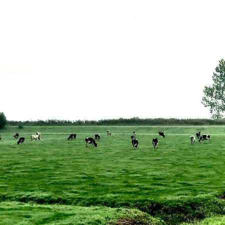 Ride The Amstel Ouderkerk aan de Amstel